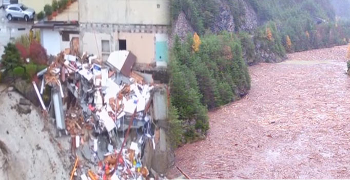 İtalya’da fırtına 14 milyon ağacı devirdi