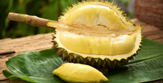 Dünyanın en kötü kokan meyvesi koca uçağı durdurdu