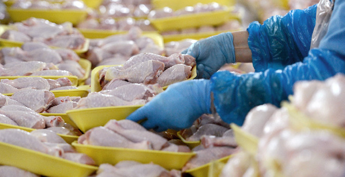 Keskinoğlu tavukçuluk konkordato süresini uzattı