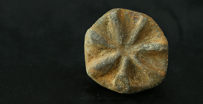 Yeşilova Höyüğü'nden 8 bin yıllık 'güneş mührü' çıktı