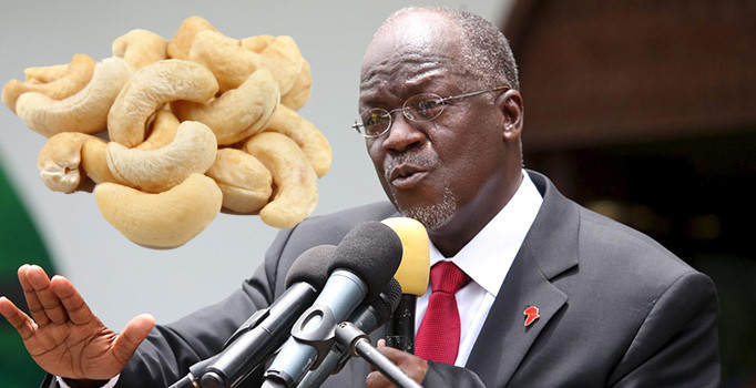 Tanzanya'da kaju krizi: Ordu teyakkuzda