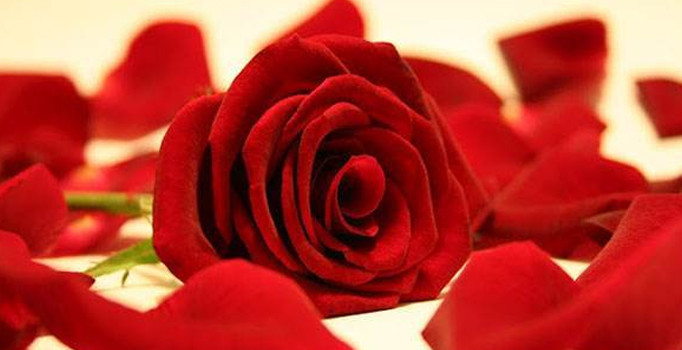 Başkan Aydın’dan Mevlid Kandili mesajı