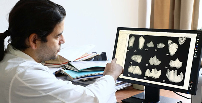 Diş fosili 20 milyon yaşındaki yırtıcıyı ortaya çıkardı