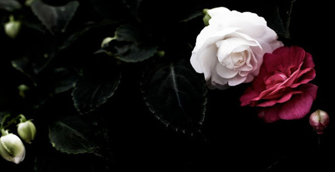 Başkan Başsoy’dan Mevlid Kandili mesajı