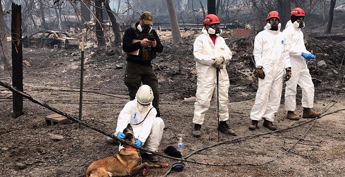Kaliforniya’da bilanço artıyor
