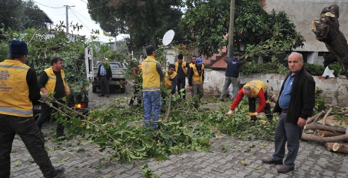 Büyükşehirden Kabaca’da çevre temizliği