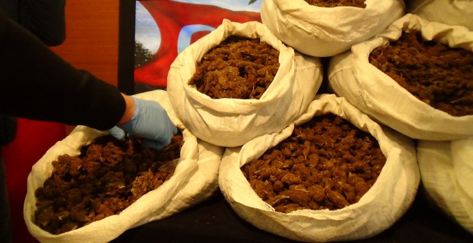 İstanbul'daki organik çiftlikten uyuşturucu çıktı