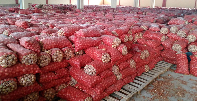 Yine soğan deposuna baskın