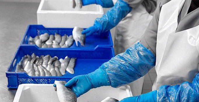 Balık devi ‘konkordato’ istedi