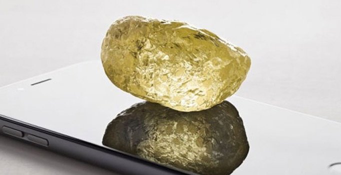 Kuzey Amerika'nın en büyük elması bulundu