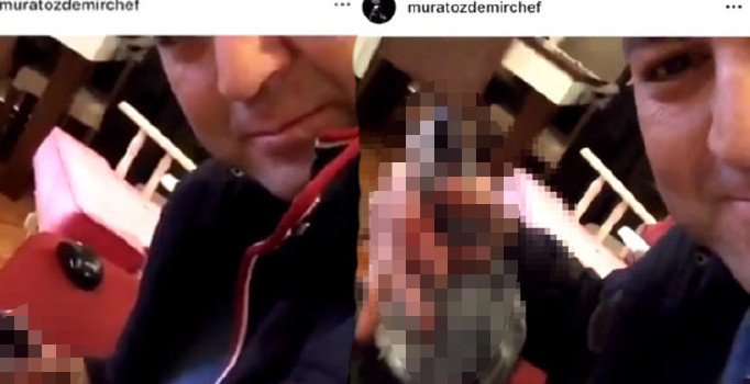 Papağana işkenceye gözaltı... Murat Özdemir yargıya hesap verecek...