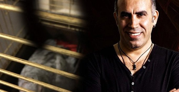 Haluk Levent: Papağan bizde