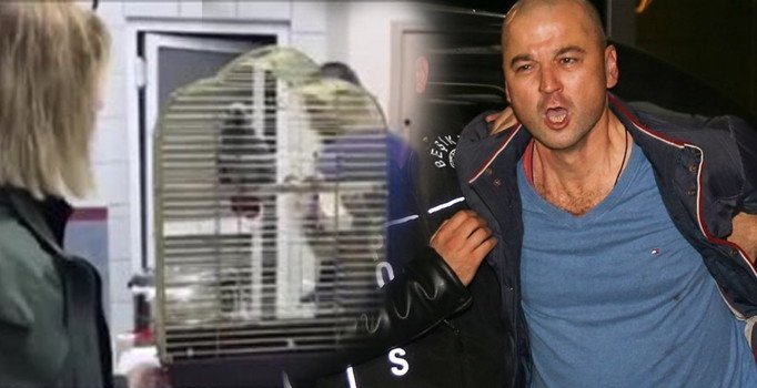 Papağana işkence yapan Murat Özdemir’in eşi konuştu