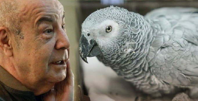 Mazhar Alanson'dan papağan çıkışı: 1 haftadır konuşuyoruz