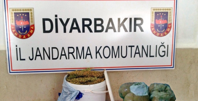 Yoğurt kovasından esrar çıktı