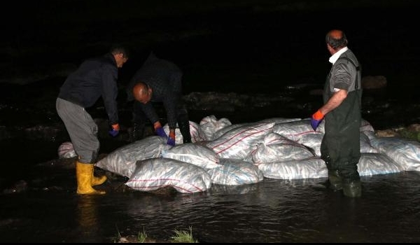 Van'da kaçak balıkçılar 
yakayı ele verdi