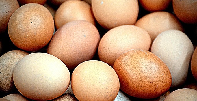 Yumurtadan 425 milyon dolar "çıktı"