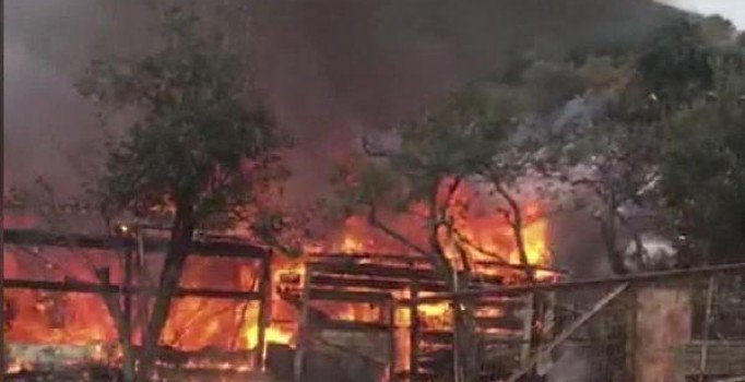 Büyükada'da yangın! Çok sayıda itfaiye sevk edildi