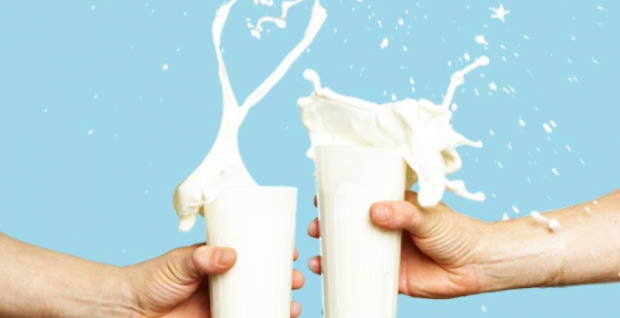 Süt Günü kutlanacak