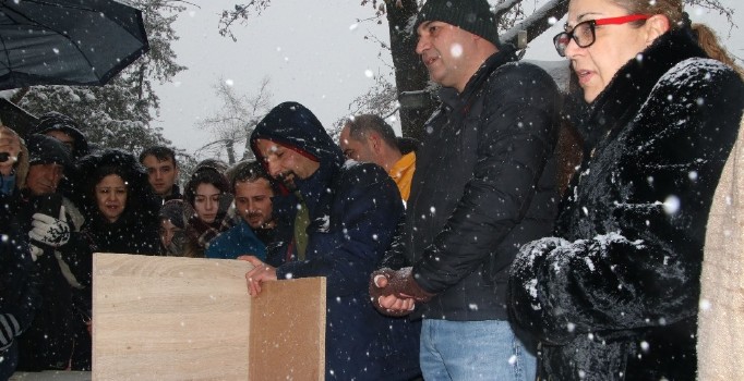 Çankaya Belediyesinden ’6.Sokağın Kedisi Şenliği’