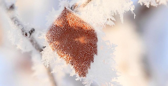 4 il için buzlanma ve don uyarısı