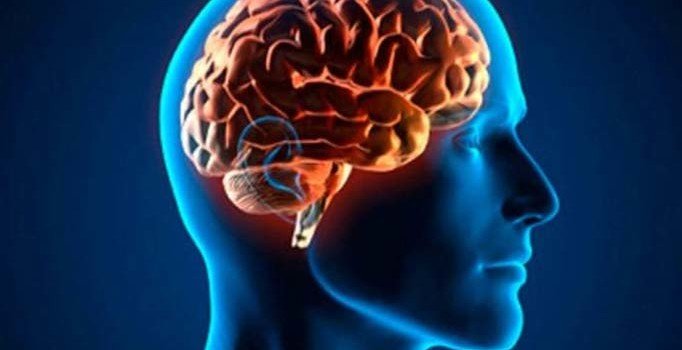 Kilo beyinden yiyor!