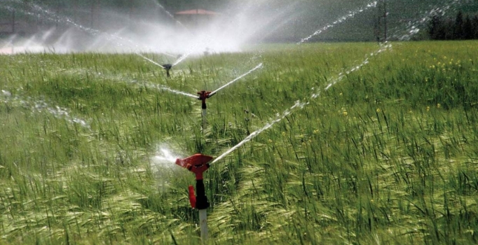 Borcu olan çiftçiye destek yok