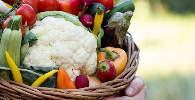 Ulusal Beslenme Konseyi kararı Resmi Gazete'de