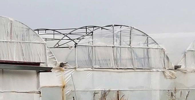 Kaş’ta fırtına seralara zarar verdi