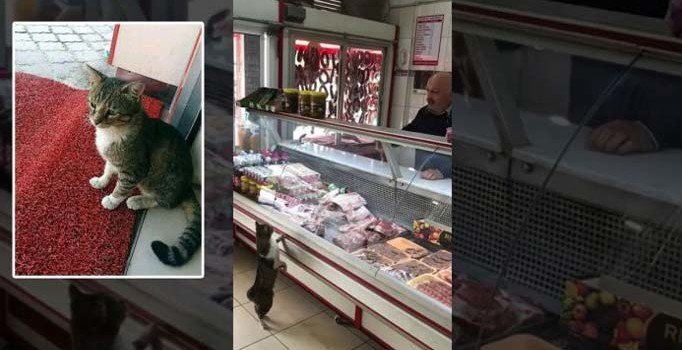 Fenomen Yeşim'den kötü haber