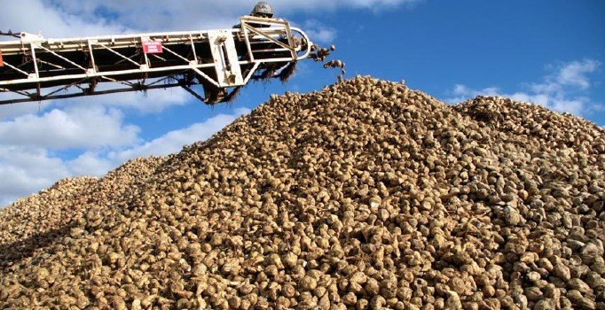 Cumhurbaşkanı Erdoğan açıkladı: Şeker kotası indiriliyor