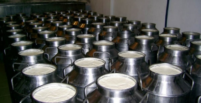 Çiftlik sahipleri, sütlerini kendileri satmak istiyor