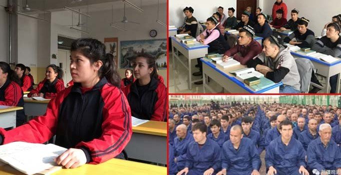 İşkence ihalesi ABD'li şirkete