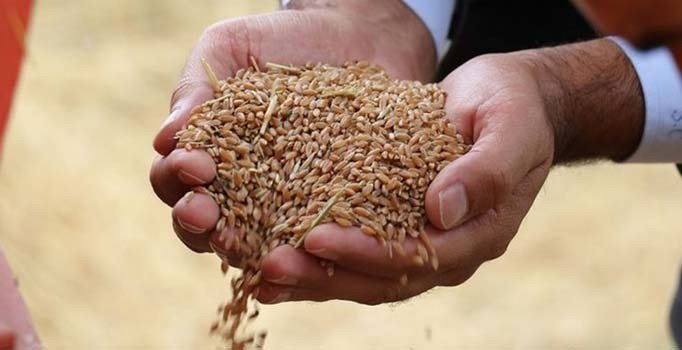 Çiftçilere teknolojik kolaylık