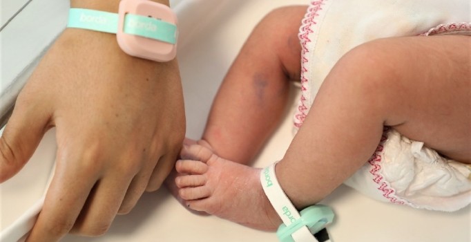 Pembe kodla bebekler güvende