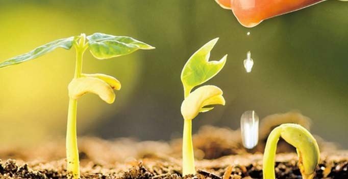 Tarım Bakanlığı'nın çiftçiye hibe paketinde neler var? Hibe paketinden kimler yararlanıyor?