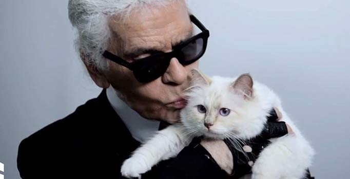 Karl Lagerfeld'in mirası kediye mi kalacak?