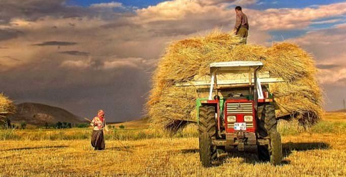 Çiftçi Kayıt Sistemi'ne nasıl kayıt olunur? ÇKS başvurusu için gerekli belgeler nelerdir?