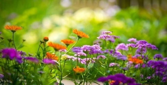 2019'de üçüncü cemre ne zaman düşecek? Nereye düşecek?