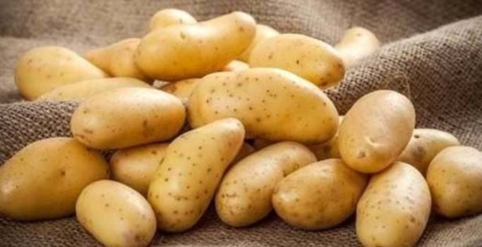 Patates ithalatında sıfır gümrükle 200 bin ton tarife kontenjanı | Patatese gümrük vergisi yok