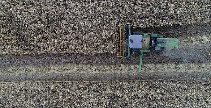 Çiftçilere 2 milyar 674 milyon liralık destek ödemesi hesaplara yatırılıyor