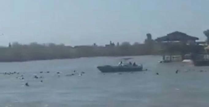 Irak'ta Dicle Nehri'nde feribot battı: Çok sayıda ölü var