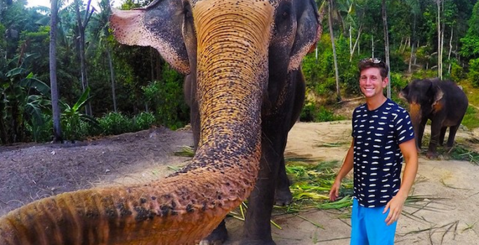 Bu fotoğrafı bir fil çekti!