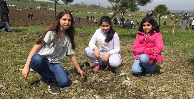 81 ilde aynı anda fidan dikme rekoru kırıldı