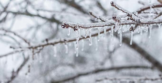 Doğu Anadolu'da buzlanma, don ve çığ uyarısı