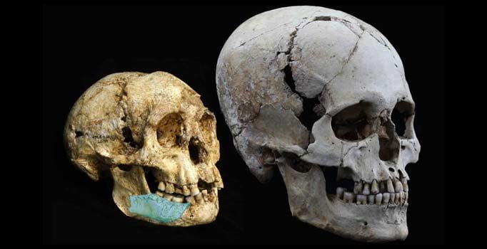 Yeni bir insan türü keşfedildi: Homo Luzonensis