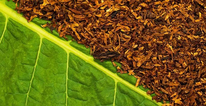 "Cumhuriyet tarihin en yüksek tütün tüketimini yaşadık"