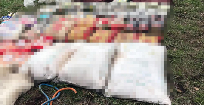 Bitlis'te PKK operasyonu