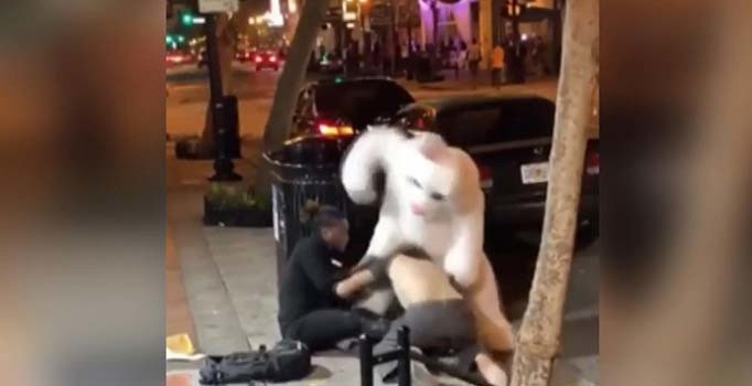 'Paskalya tavşanı' ayıramadığı kavgaya dahil oldu