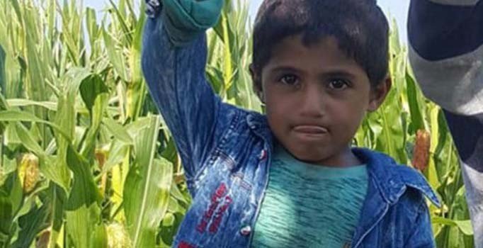 Şanlıurfa'da kaybolan 5 yaşındaki Mehmet foseptik çukurda ölü bulundu